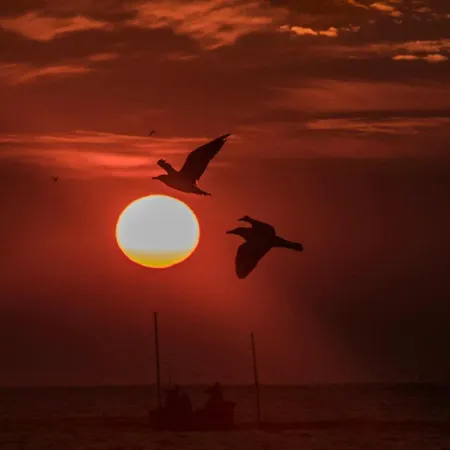 Apartment Sevdi - 2 Min De Plaja Eforie Nord