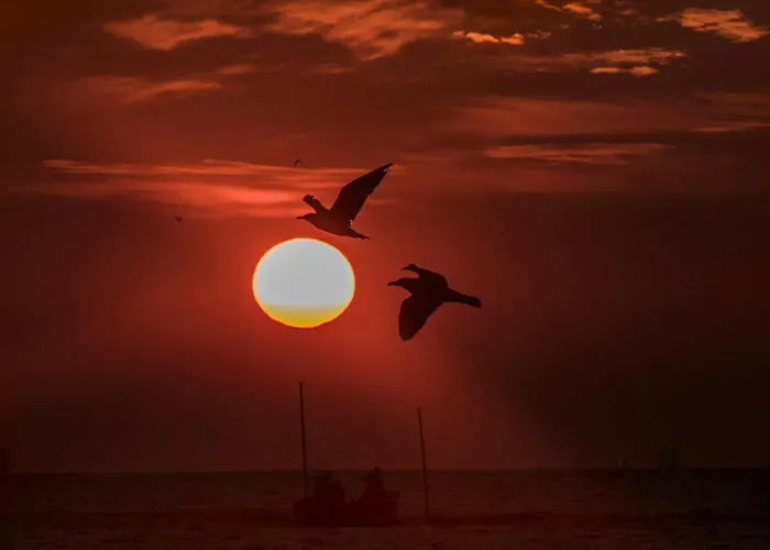 Appartement Sevdi - 2 Min De Plaja Eforie Nord