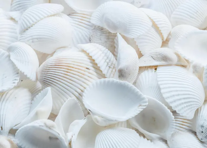 Sevdi - 2 Min De Plaja * Eforie Nord